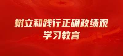 樹立和踐行正確政績觀學習教育